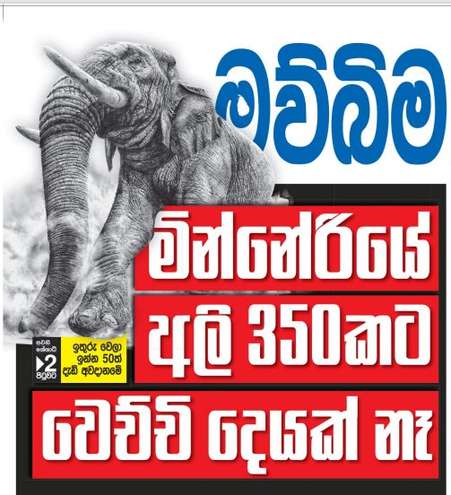 මින්නේරියේ අලි 350කට වෙච්චි දෙයක් නෑ