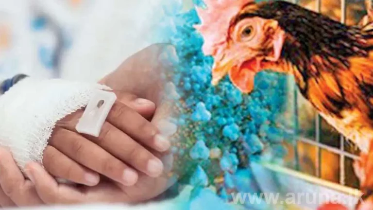 කුරුළු උණ පිළිබඳව ලෝක සෞඛ්‍ය සංවිධානයෙන් උපදෙස්