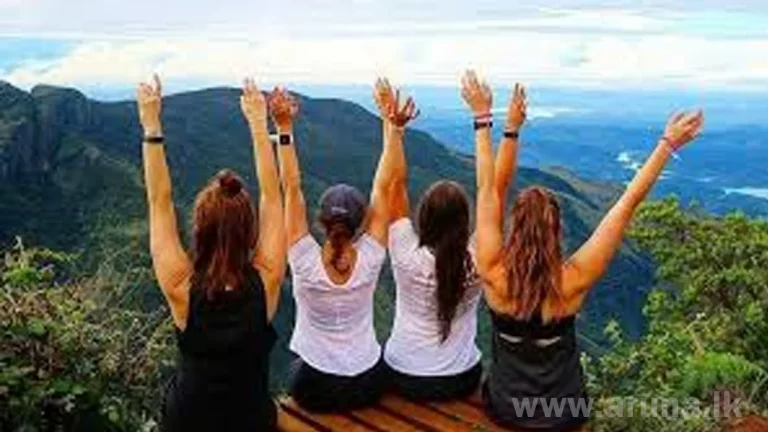 මේ වසරේ සංචාරකයින් 966, 604ක්