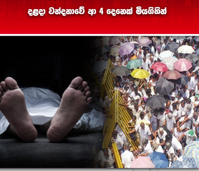 දළදා වන්දනාවේ ආ 4 දෙනෙක් මියගිහින්