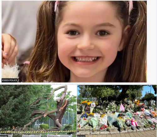 Family pay tribute to girl killed by falling tree