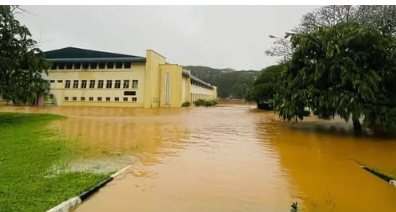 ‘දිට්වා’ නිසා පේරාදෙණිය සරසවියට කෝටි 500කට ආසන්න අලාභයක්