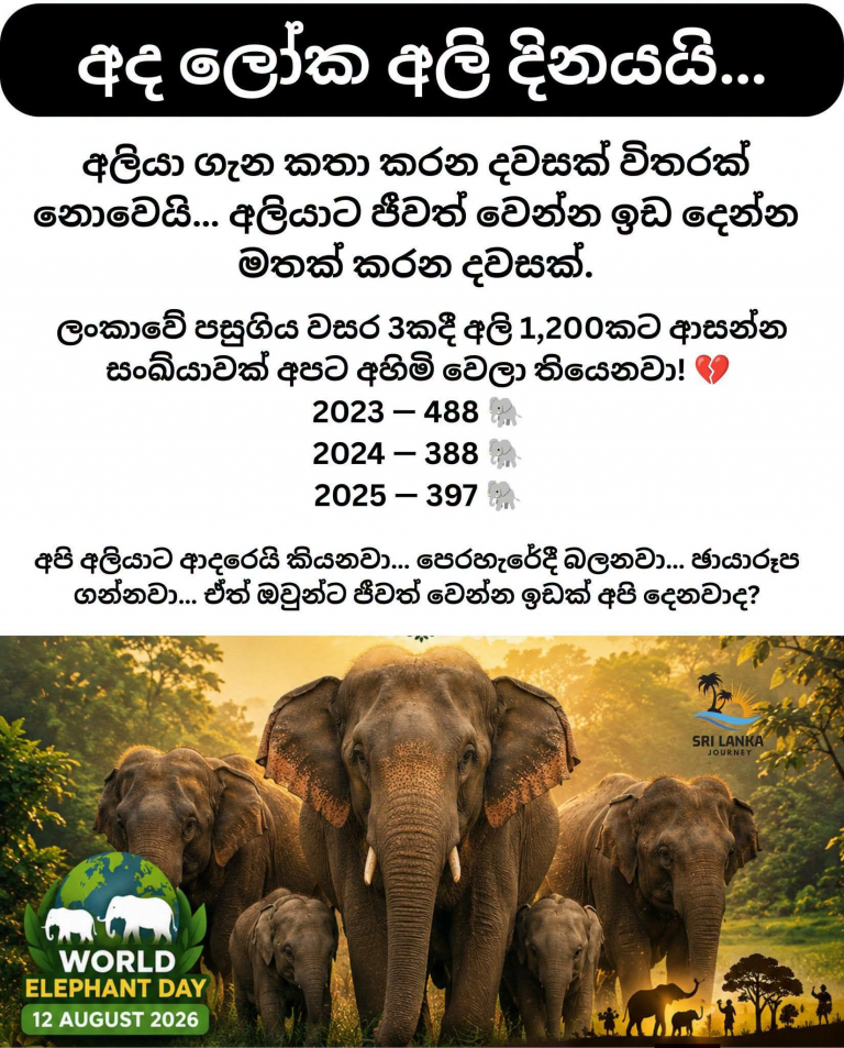 Today is World Elephant Day.